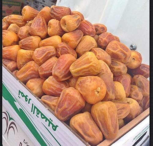 SUKKARI