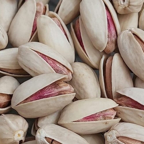 pistachio