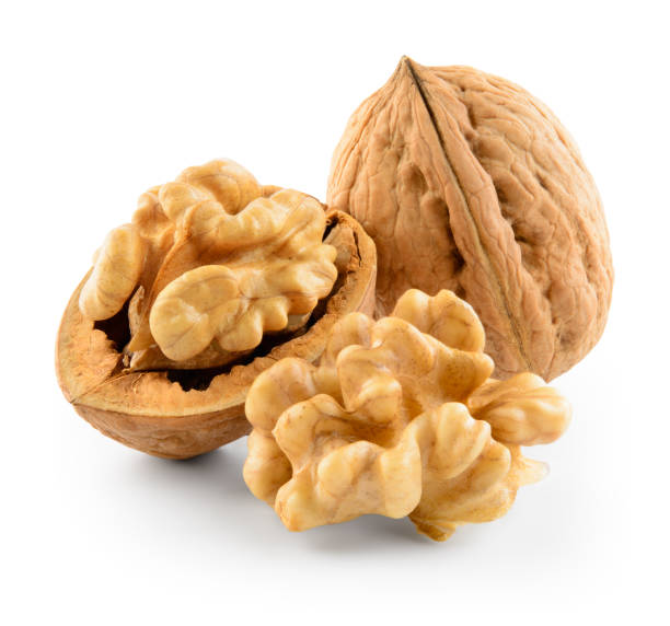 Walnut Walnut