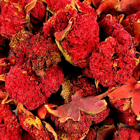 Fresh Pomegranate Dried Flowers Fresh Pomegranate Dried Flowers