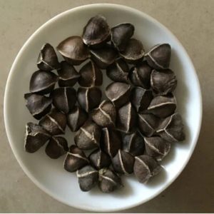 بذور المورينجا المجففة في الإمارات
