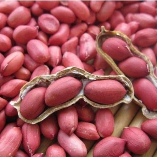 peanuts for snacking